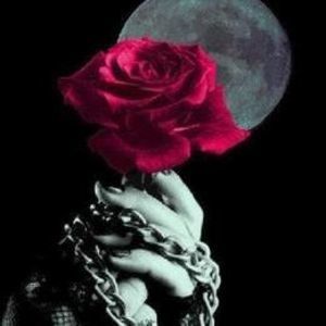 Meet your Posher, Ms